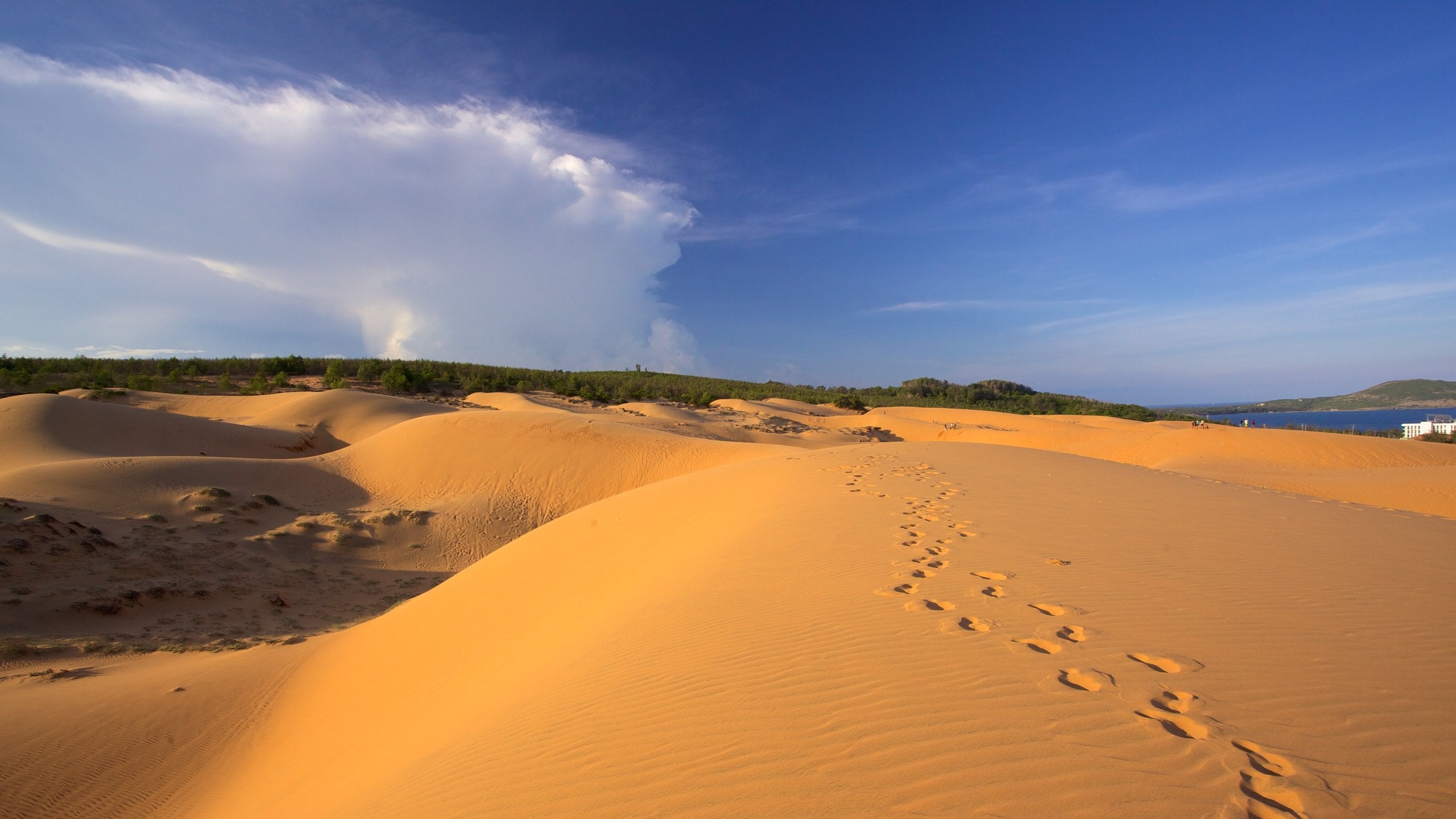 MŨI NÉ (PHAN THIẾT) -> VŨNG TÀU